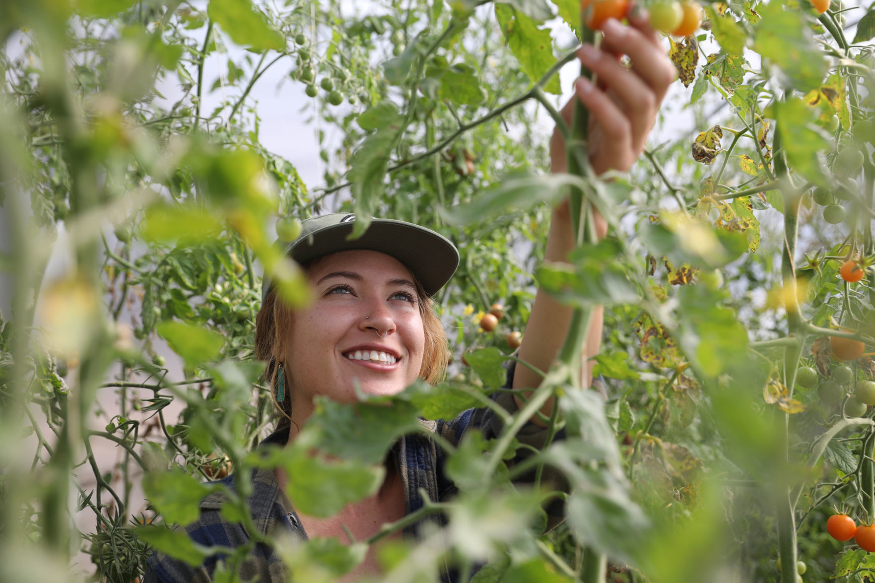 Roots Micro Farm